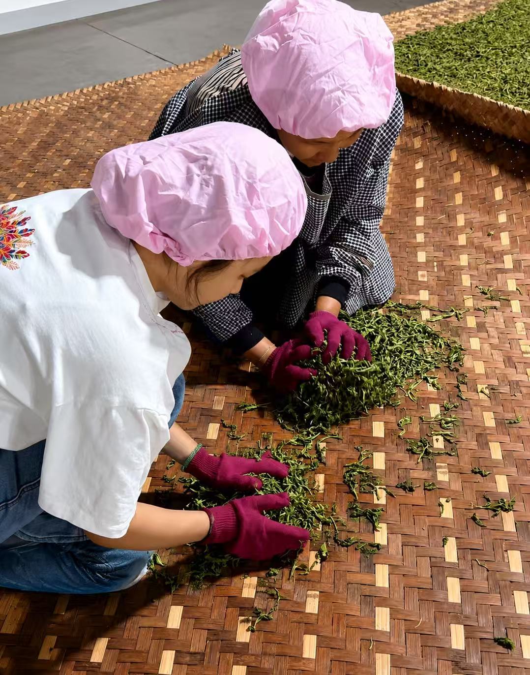 手工揉茶过程